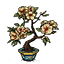 花盆